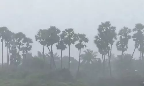 കിഴക്കൻ തീരംതൊടാൻ ‘ദിത്വ’; തമിഴ്നാട്ടിലും ആന്ധ്രയിലും റെഡ് അലർട്ട്