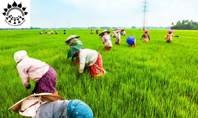 അധികാര വികേന്ദ്രീകരണം   പാളിയത് എവിടെയാണ്?