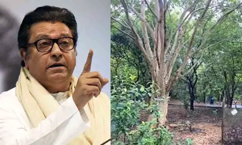 Kumbh Mela,Tree Cutting,Land Development,Industrialists,Raj Thackeray, രാജ് താക്കറെ, സയാജി ഷിൻഡേ, തപോവനം, കുംഭമേള, Kumbh Mela,Tree Cutting,Land Development,Industrialists,Raj Thackeray, രാജ് താക്കറെ, സയാജി ഷിൻഡേ, തപോവനം, കുംഭമേള,
