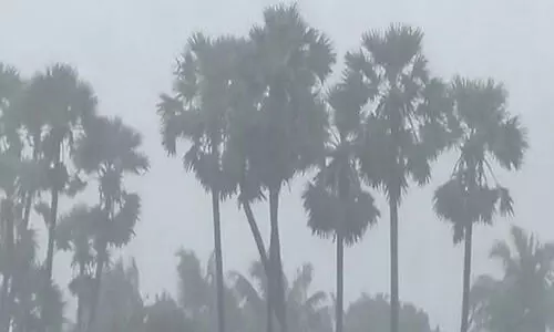 ഡിറ്റ് വാ ചുഴലിക്കാറ്റ്: തമിഴ്നാട്ടിൽ കനത്ത മഴ​; രണ്ട് ജില്ലകളിൽ റെഡ് അലർട്ട്