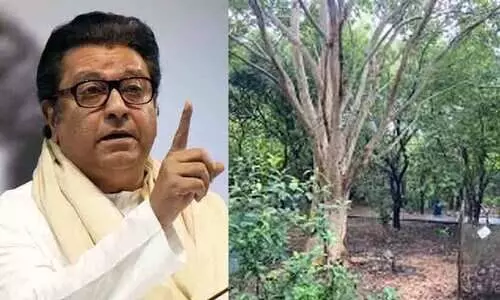 Kumbh Mela,Tree Cutting,Land Development,Industrialists,Raj Thackeray, രാജ് താക്കറെ, സയാജി ഷിൻഡേ, തപോവനം, കുംഭമേള,