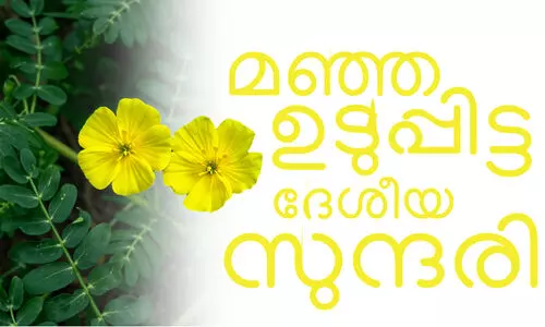 മഞ്ഞ ഉടുപ്പിട്ട ദേശീയ സുന്ദരി