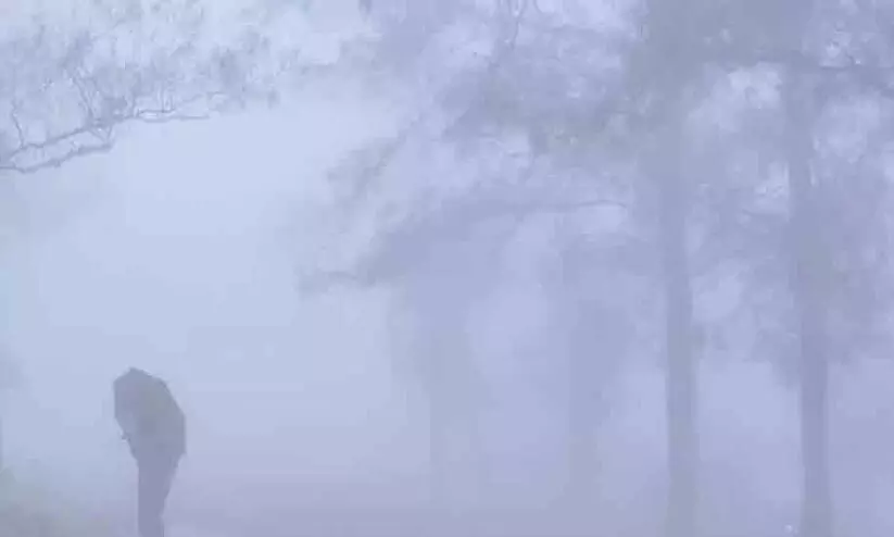 cold kerala cold kerala