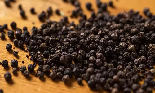 കുരുമുളക് ഉൽപാദനം കുറഞ്ഞു