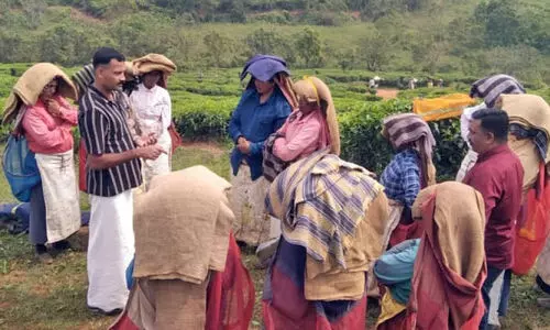 ഉരുളൊഴിഞ്ഞു, ഒഴിഞ്ഞില്ല സങ്കടക്കടൽ