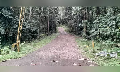 വികസനം പിന്നോട്ട്; കാടുകയറി അച്ചൻകോവിൽ-ശബരിമല കാനനപാത