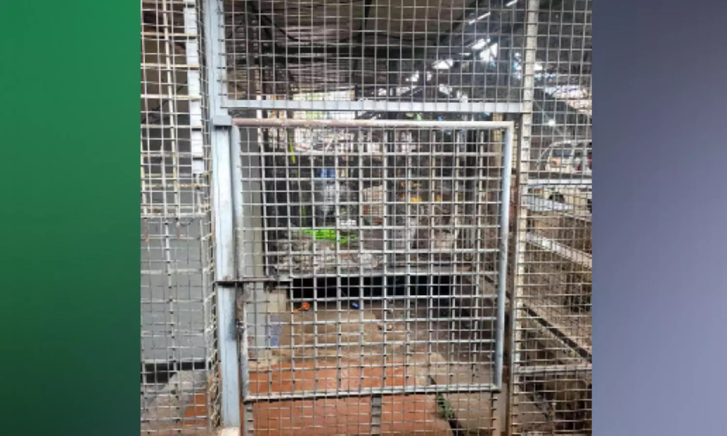 ഓടനാവട്ടം ടൗൺ ശൗചാലയം പ്രവർത്തനരഹിതം; ജനം വലയുന്നു