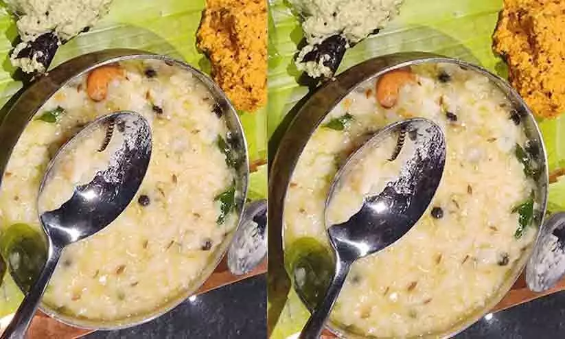 Rameshwaram Cafe Owners Face Case Over Worm In Food Rameshwaram Cafe Owners Face Case Over Worm In Food