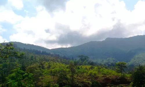 ബോണക്കാട് ഉൾവനത്തിൽ കാണാതായ ഫോറസ്റ്റ് ഉദ്യോഗസ്ഥരെ കണ്ടെത്തി