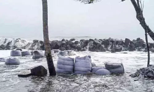 high court, edavanakkad,kochi, division bench, ഹൈകോർട്ട്, എടവനക്കാട്, കൊച്ചി,