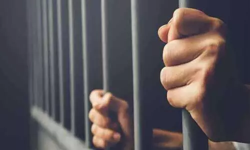 ലൈ​സ​ൻ​സി​ല്ലാ​തെ ന​ഴ്സ​റി ന​ട​ത്തി; യു​വ​തി​ക്ക് മൂ​ന്നു മാ​സം ത​ട​വ്