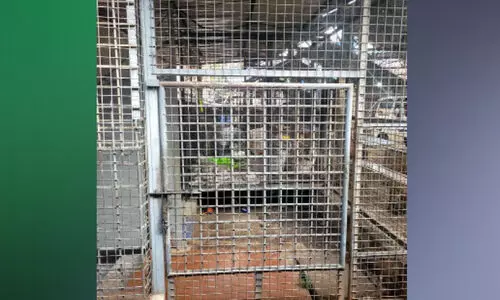 ഓടനാവട്ടം ടൗൺ ശൗചാലയം പ്രവർത്തനരഹിതം; ജനം വലയുന്നു