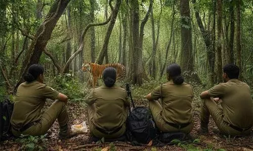 അട്ടപ്പാടിയിൽ കടുവ സെൻസസിന് പോയ വനിതകൾ അടങ്ങിയ വനപാലക സംഘം കാട്ടിൽ കുടുങ്ങി; ഭക്ഷണവും വെള്ളവും തീർന്നു, മൊബൈലിൽ റേഞ്ച് കിട്ടി