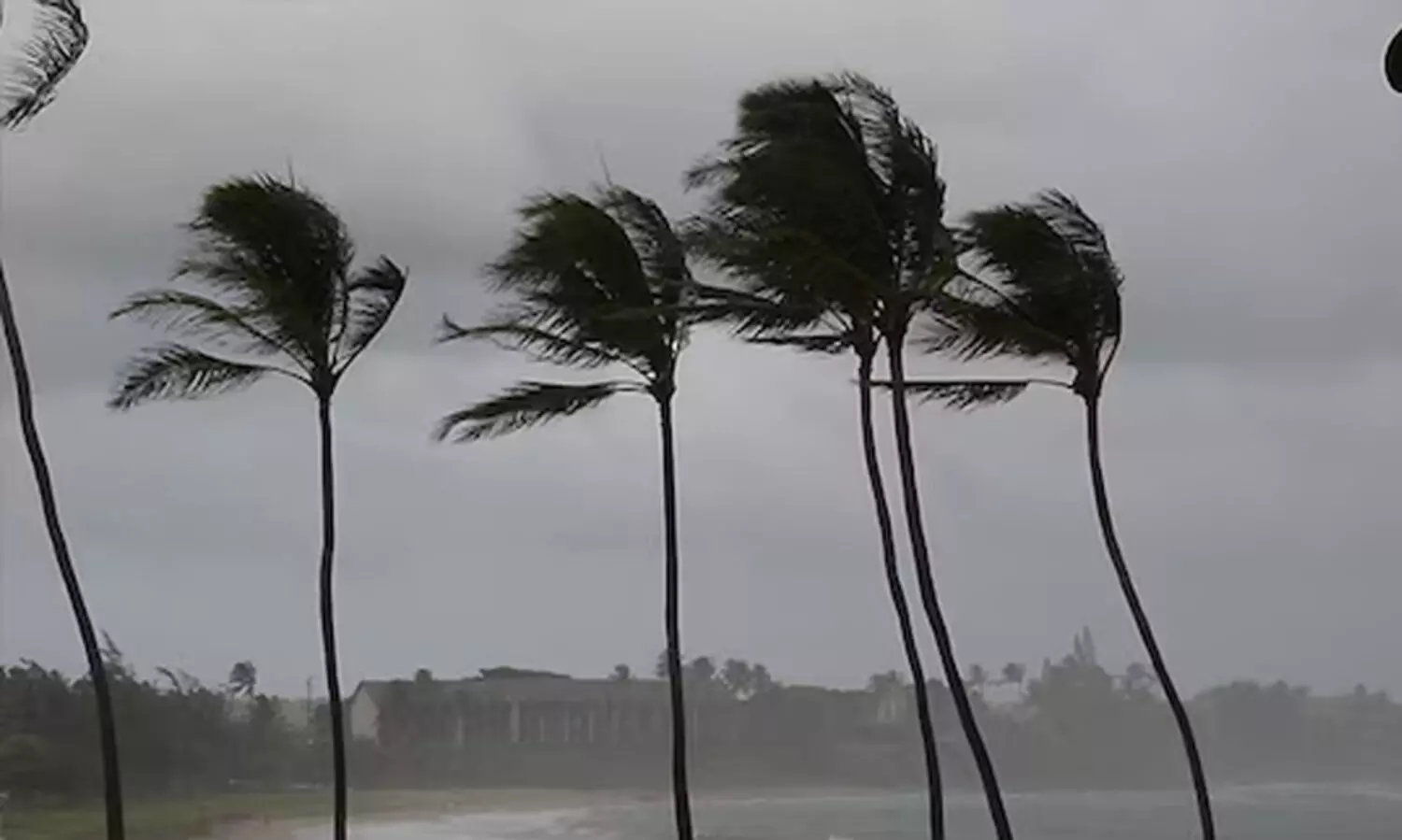 ദിത്വ ചുഴലിക്കാറ്റ്: അലയൊലികൾ  കേരളത്തിലും