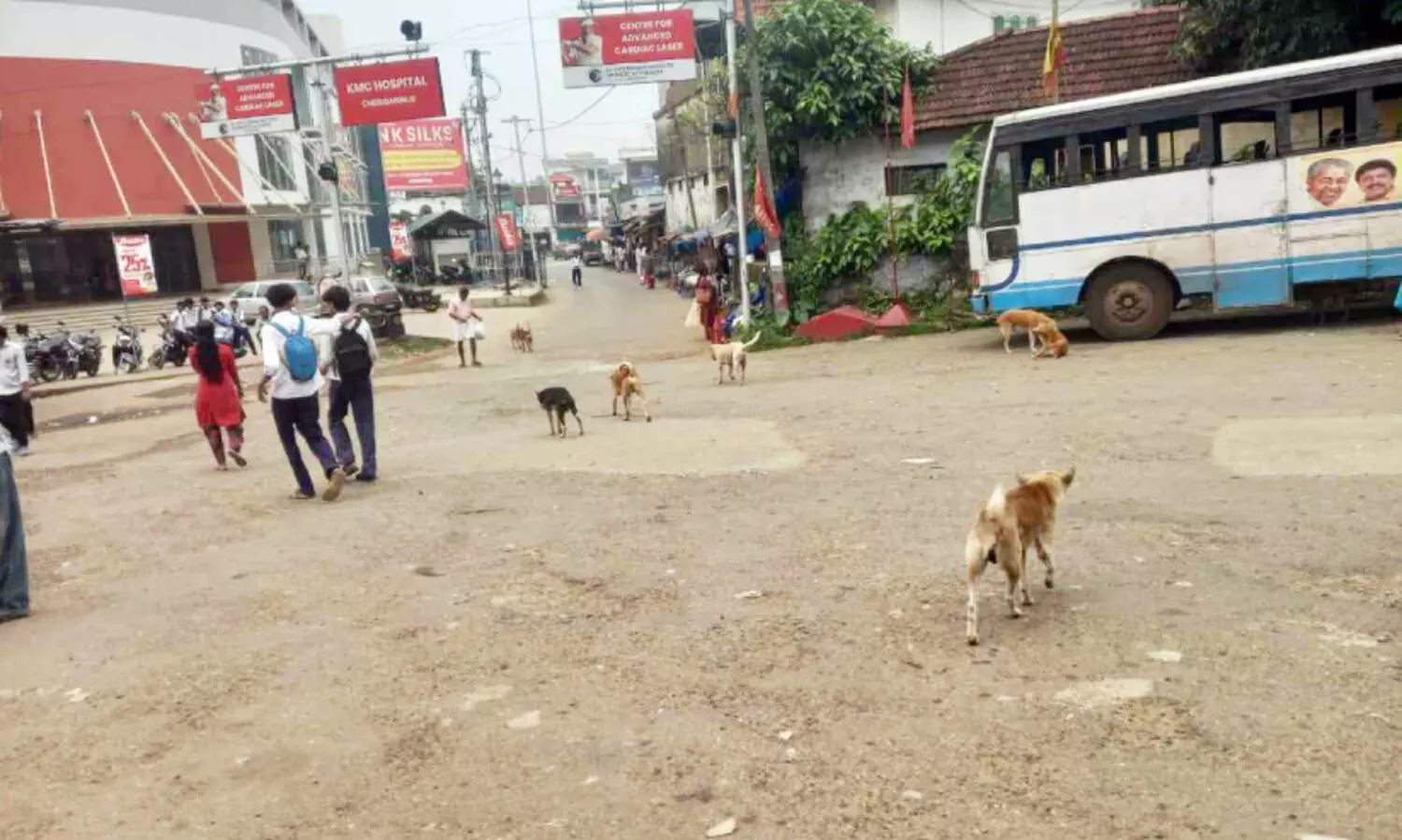 കെ.എസ്.ആർ.ടി.സി ഡിപ്പോയിൽ തെരുവുനായ ശല്യം രൂക്ഷം