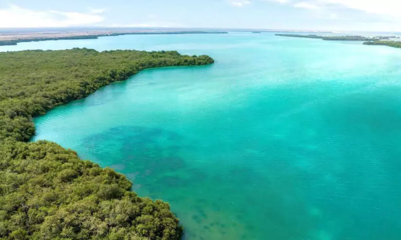 ഫറസാൻ ദ്വീപുകളിലെ പ്രദേശങ്ങൾ അന്താരാഷ്ട്ര തണ്ണീർത്തടങ്ങളുടെ പട്ടികയിൽ