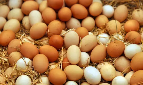 കോഴിമുട്ട ക്ഷാമം; വിപണി നിരീക്ഷണം ശക്തം