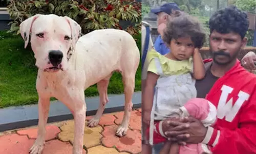 രാപ്പകൽ കാപ്പിത്തോട്ടത്തിൽ ഒറ്റപ്പെട്ട് പിഞ്ചുകുഞ്ഞ്; ഒടുവിൽ രക്ഷകനായി ഓടിയെത്തിയത് ‘ഓറിയോ...’