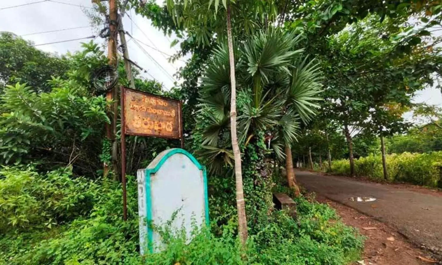 കാളകളും പോത്തും നടക്കുന്ന ആന്ധ്രയിലെ തർലുവാഡ ഗ്രാമത്തിലേക്ക് ഗൂഗിൾ വരുന്നു 15 ബില്യൻ ഡോളറി​ന്റെ പദ്ധതിയുമായി; തലവര മാറിയ കാർഷികഗ്രാമത്തിന് വൻ പ്രതീക്ഷ