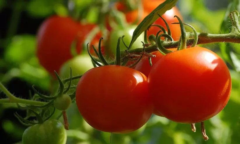 representative image representative image