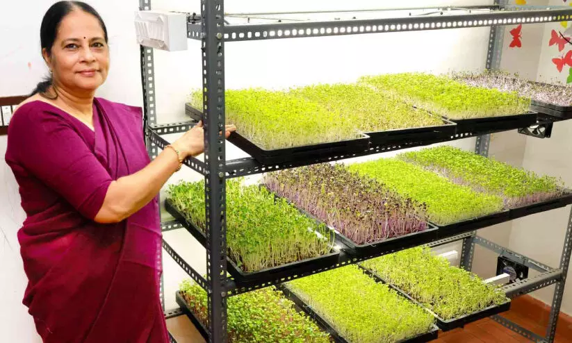 റിട്ട. അധ്യാപിക മൈക്രോ ഗ്രീന്‍ ഭക്ഷണ ശീലങ്ങൾ പഠിപ്പിക്കുന്ന തിരക്കിലാണ്