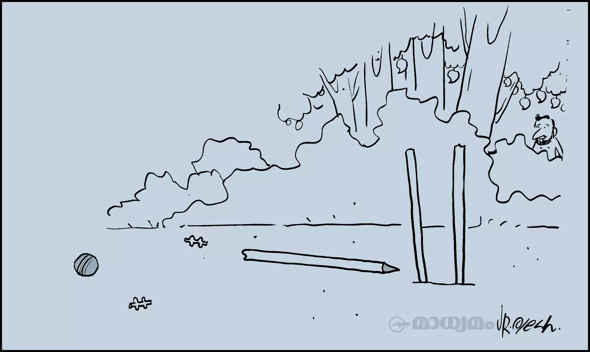 വിക്കറ്റ്!