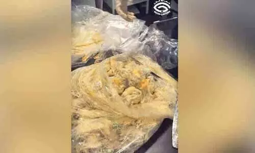 ഹമദ് ഇന്റർനാഷനൽ എയർപോർട്ടിൽ മയക്കുമരുന്ന് പിടികൂടി ഹമദ് ഇന്റർനാഷനൽ എയർപോർട്ടിൽ മയക്കുമരുന്ന് പിടികൂടി