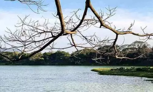 കുക്കരഹള്ളി തടാകം വൃത്തിയാക്കാൻ ഹൈടെക് ബോട്ട്