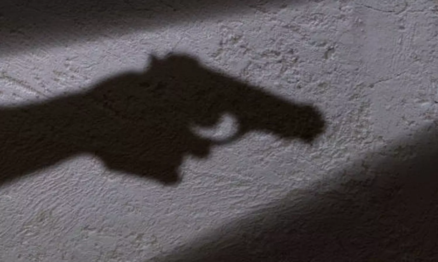 തോക്ക് ചൂണ്ടി പ്രവാസി വ്യവസായിയെ തട്ടിക്കൊണ്ടുപോയി