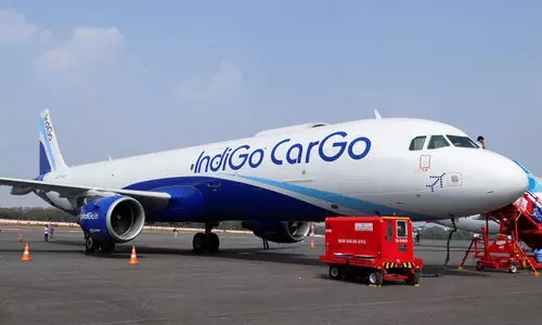 IndiGo Flight