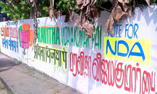 മിനി ഇന്ത്യയിൽ വോട്ടഭ്യർഥനയിലും വ്യത്യസ്തത മിനി ഇന്ത്യയിൽ വോട്ടഭ്യർഥനയിലും വ്യത്യസ്തത