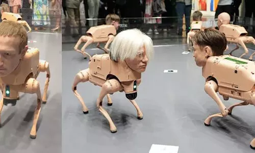 മസ്‌കിനെയും സുക്കർബർഗിനെയും ബെസോസിനെയും റോബോട്ട് നായ്ക്കളാക്കി; വൈറലായി മിയാമി ബീച്ചിലെ ആർട്ട് ഇൻസ്റ്റലേഷൻ