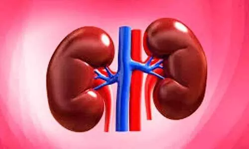 അവഗണിക്കരുത് ഈ വൃക്ക രോഗത്തിന്‍റെ ഒമ്പത് പ്രാഥമിക ലക്ഷണങ്ങൾ