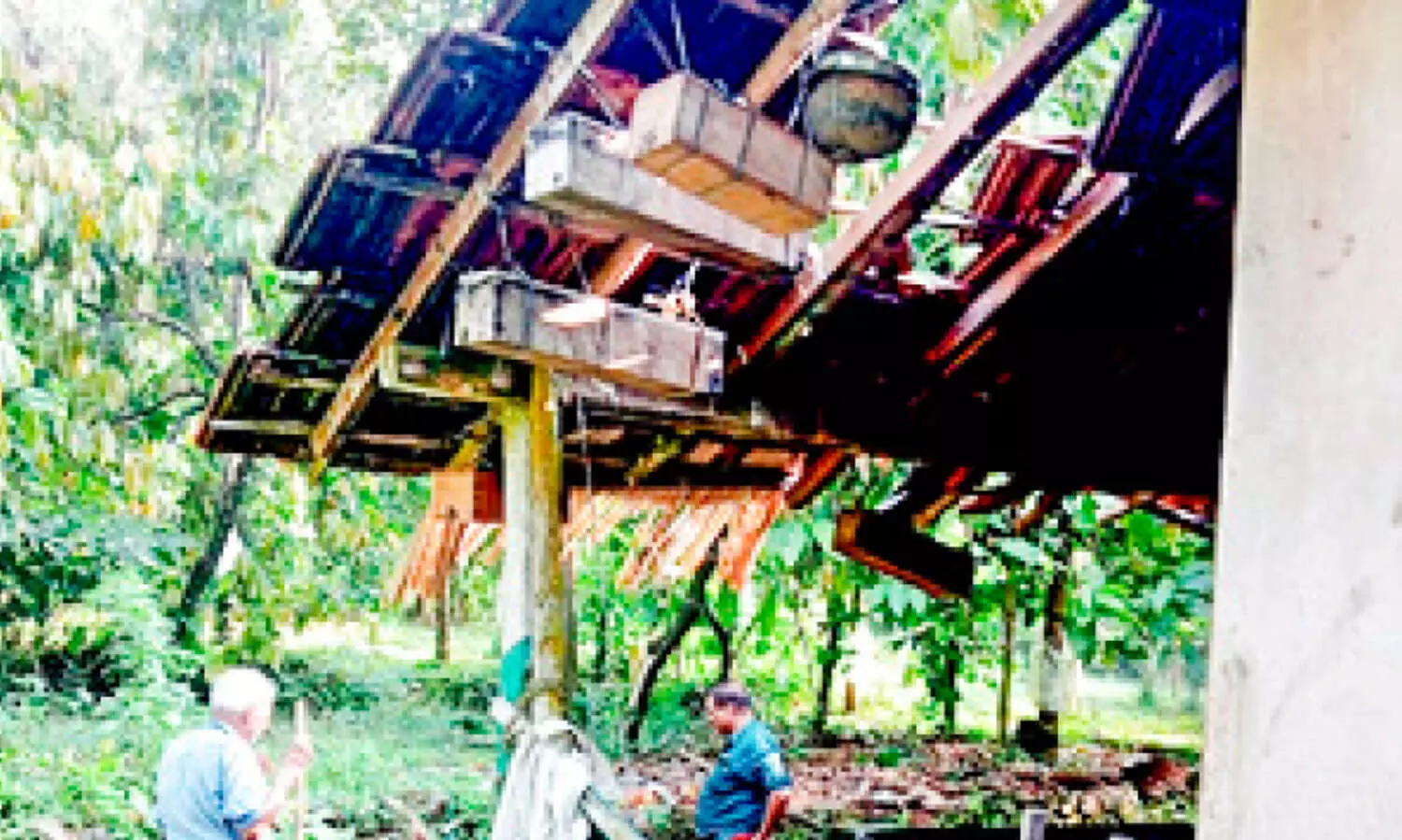 കാട്ടാനക്കൂട്ടം വീട് തകർത്തു; ഇന്ന് ആൾക്കല്ല് ഫോറസ്റ്റ് ഓഫിസിലേക്ക് പ്രതിഷേധ മാർച്ച്