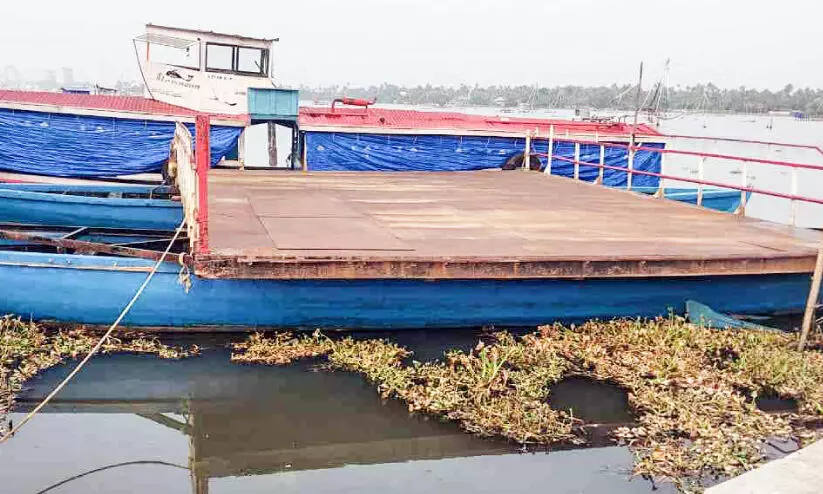 കായലിൽ വേലിയിറക്കം ശക്തം; അരൂർ-കുമ്പളങ്ങി ചങ്ങാട സർവിസ് പ്രതിസന്ധിയിൽ കായലിൽ വേലിയിറക്കം ശക്തം; അരൂർ-കുമ്പളങ്ങി ചങ്ങാട സർവിസ് പ്രതിസന്ധിയിൽ