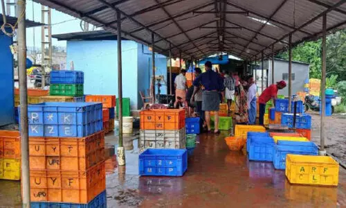 ദേശീയപാതയോരത്തെ മത്സ്യ കച്ചവടത്തിന് ഹൈകോടതി സ്റ്റേ