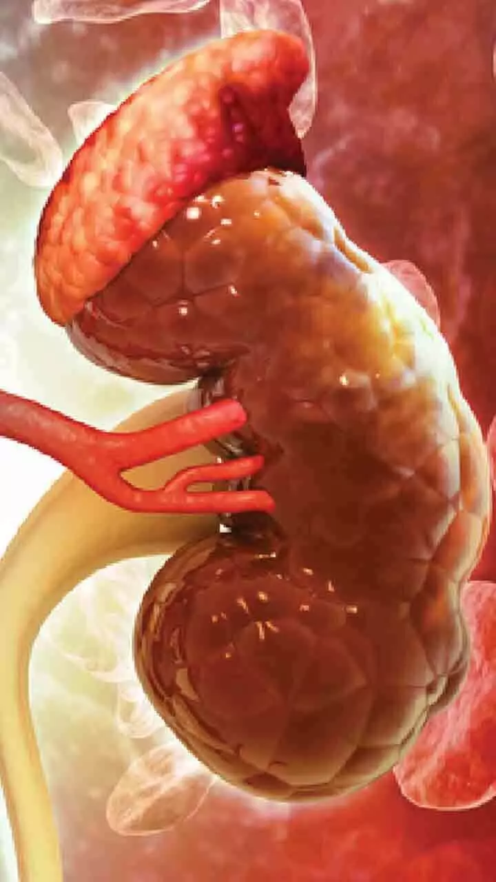 നിർജലീകരണമെന്ന് തെറ്റിദ്ധരിക്കുന്ന വൃക്ക രോഗത്തിന്‍റെ 6 ലക്ഷണങ്ങൾ