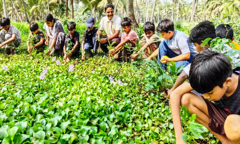 GUP School,Kandal Forest,project,coastal,protection, കനോലികനാൽ, കണ്ടൽവനം, തീരസംരക്ഷണം GUP School,Kandal Forest,project,coastal,protection, കനോലികനാൽ, കണ്ടൽവനം, തീരസംരക്ഷണം