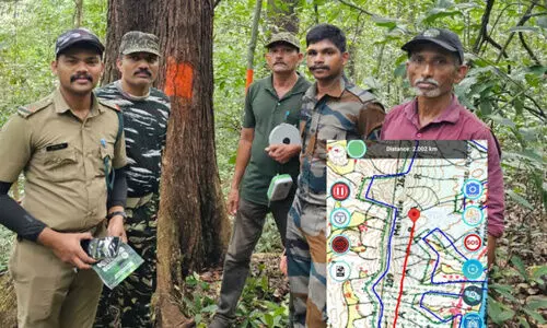 ദേ​ശീ​യ ക​ടു​വ ക​ണ​ക്കെ​ടു​പ്പ് ഇ​ന്ന് അ​വ​സാ​നി​ക്കും