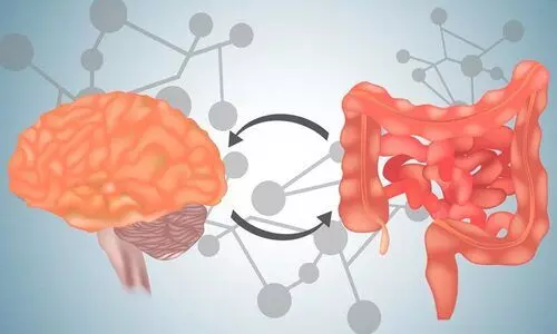 ടെൻഷൻ വരുമ്പോൾ വയറുവേദന വരാറുണ്ടോ? കുടലും തലച്ചോറും തമ്മിൽ ബന്ധമുണ്ട്...