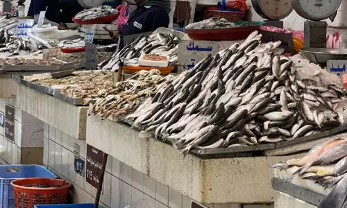 മു​ബാ​റ​ക്കി​യ മ​ത്സ്യ മാ​ർ​ക്ക​റ്റ് ശർ​ക്കി​ലേ​ക്ക് മാ​റ്റാ​ൻ പ​ദ്ധ​തി