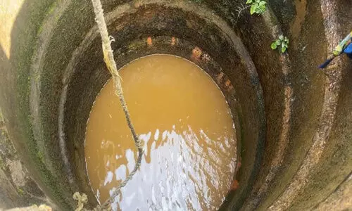 drink,water, , plant, rice, പുത്തൂർ വയൽ, വയനാട്, ഉന്നതി drink,water, , plant, rice, പുത്തൂർ വയൽ, വയനാട്, ഉന്നതി