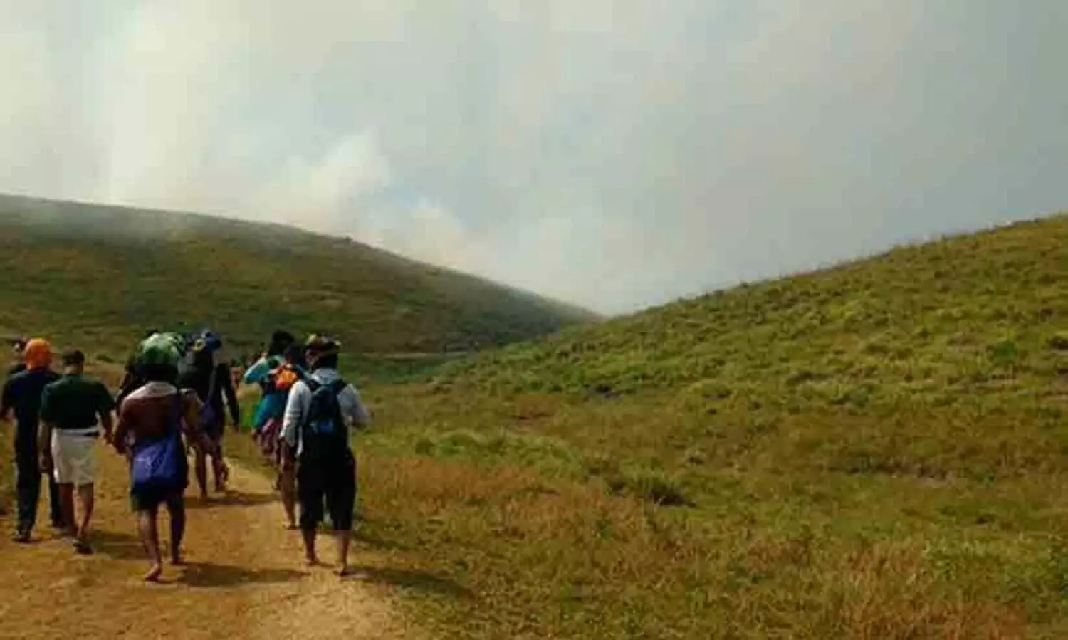 മകരവിളക്കിന് പുൽമേട്ടിൽ ബി.എസ്.എൻ.എൽ താൽക്കാലിക ടവർ സ്ഥാപിക്കും; നെറ്റ്‌വർക്ക് ലഭ്യമാക്കുക മൈക്രോവേവ് സംവിധാനം വഴി