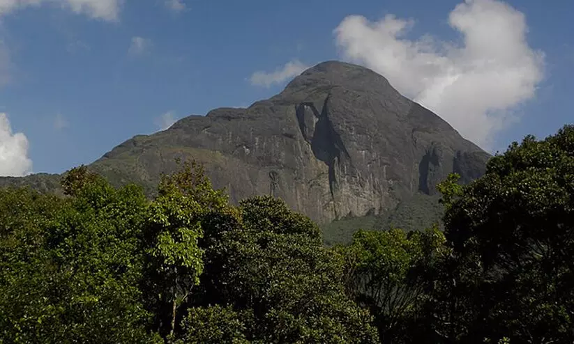 Representation image Representation image