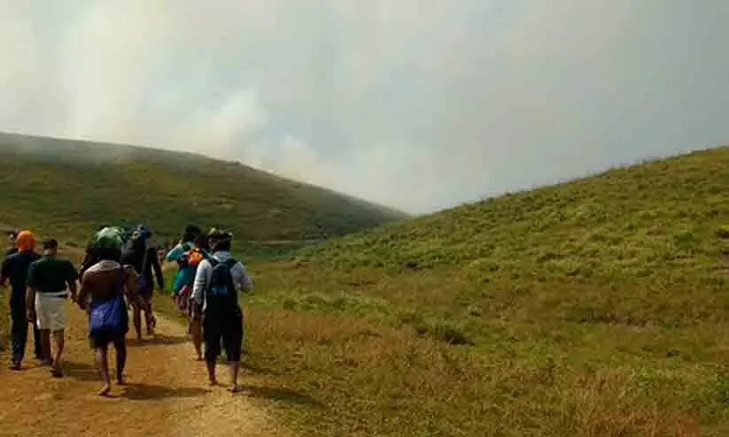 മകരവിളക്കിന് പുൽമേട്ടിൽ ബി.എസ്.എൻ.എൽ താൽക്കാലിക ടവർ സ്ഥാപിക്കും; നെറ്റ്‌വർക്ക് ലഭ്യമാക്കുക മൈക്രോവേവ് സംവിധാനം വഴി