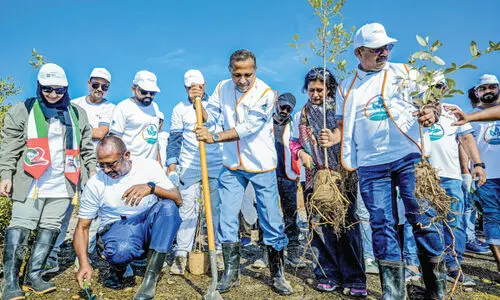 റാസൽഖൈമയിൽ 2,000 കണ്ടൽച്ചെടികൾ നട്ടുപിടിപ്പിച്ച് ആസ്റ്റർ റാസൽഖൈമയിൽ 2,000 കണ്ടൽച്ചെടികൾ നട്ടുപിടിപ്പിച്ച് ആസ്റ്റർ