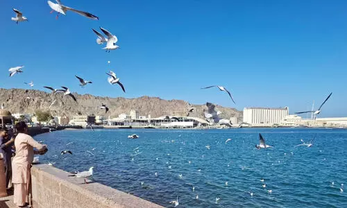 തണുപ്പുകാലം വരികയായ്... മത്രയിലേക്ക് സഞ്ചാരികളും സഞ്ചാരിപ്പറവകളുമെത്തി തണുപ്പുകാലം വരികയായ്... മത്രയിലേക്ക് സഞ്ചാരികളും സഞ്ചാരിപ്പറവകളുമെത്തി