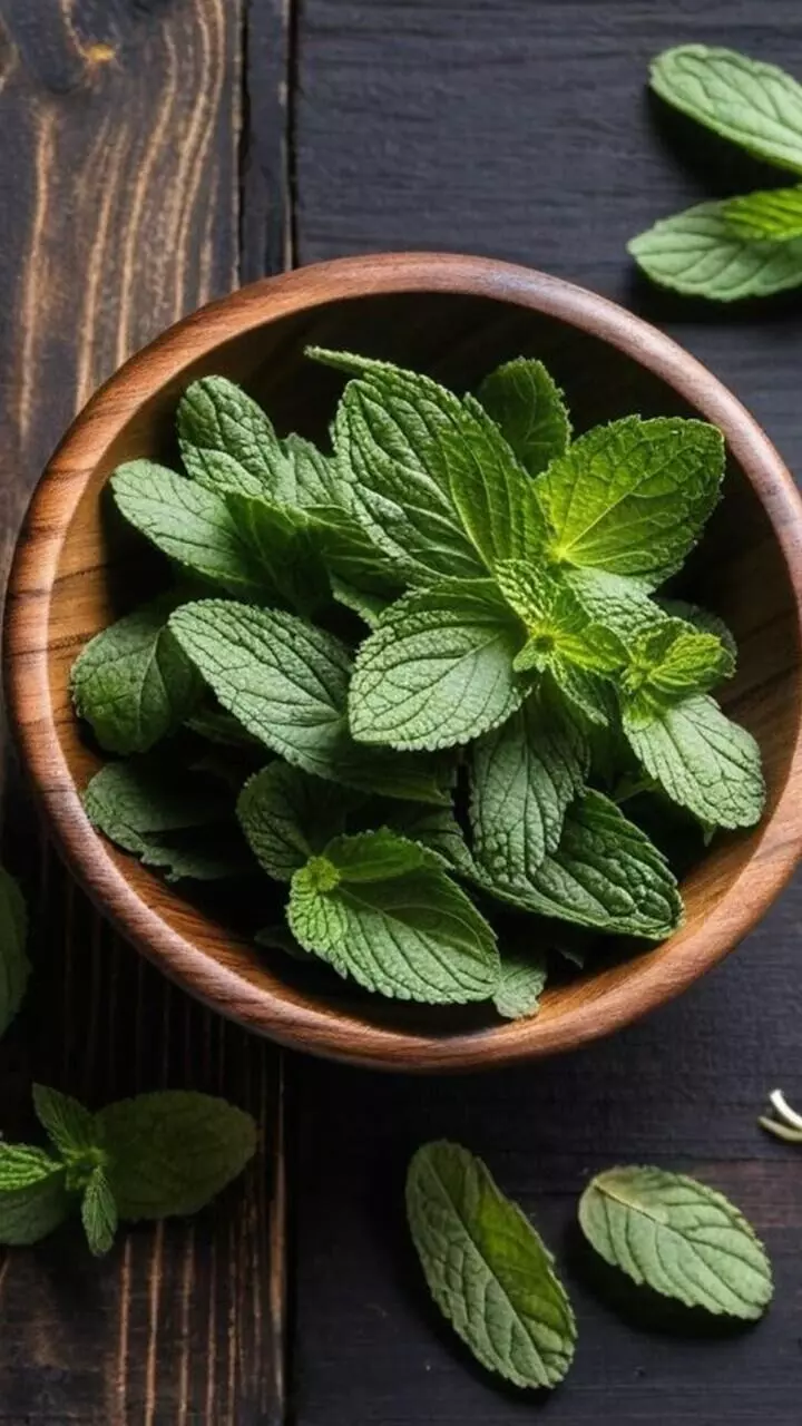 മണ്ണൊരുക്കുമ്പോൾ ശ്രദ്ധിച്ചാൽ പുതിന വീട്ടിലും വളർത്താം മണ്ണൊരുക്കുമ്പോൾ ശ്രദ്ധിച്ചാൽ പുതിന വീട്ടിലും വളർത്താം