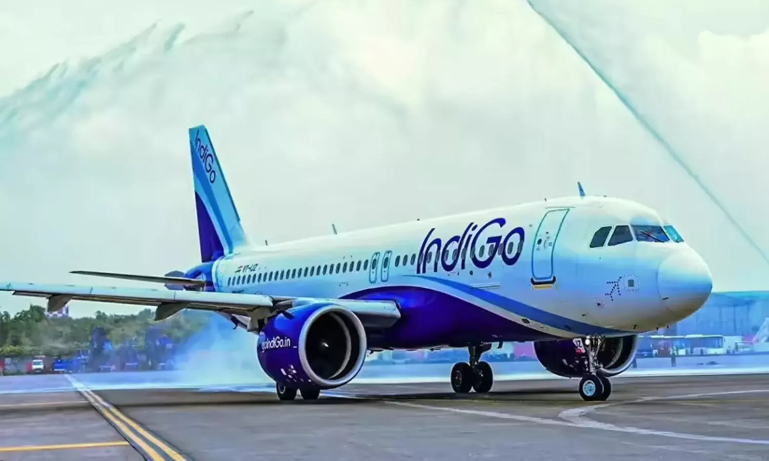 indigo