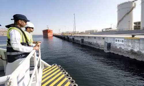 ജബൽ അലി തുറമുഖത്തെ​ കടൽഭിത്തികളിൽ 1000 കൃത്രിമ പവിഴപ്പുറ്റുകൾ